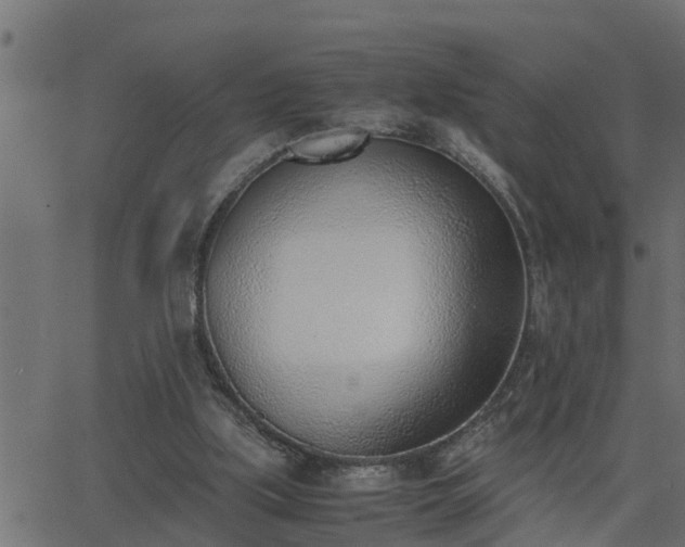 X0000062870059200601171432