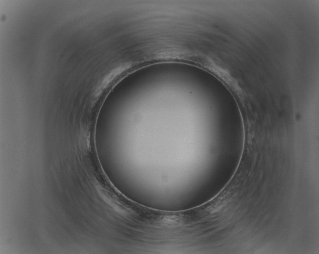 X0000062870060200601171432