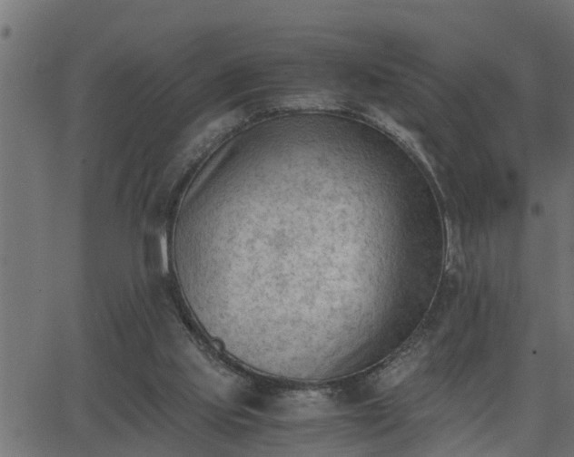 X0000062870061200601171432