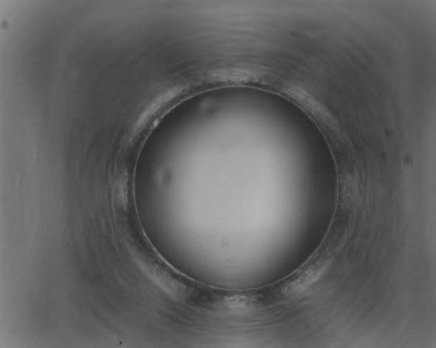 X0000062870064200601171432