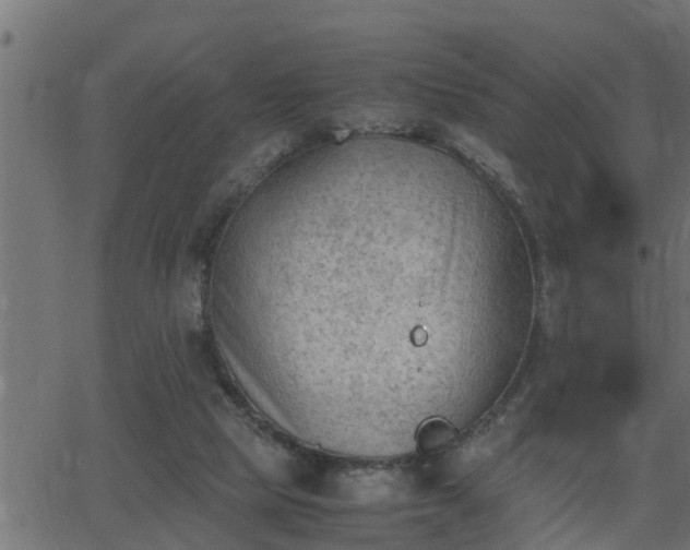 X0000062870065200601171432