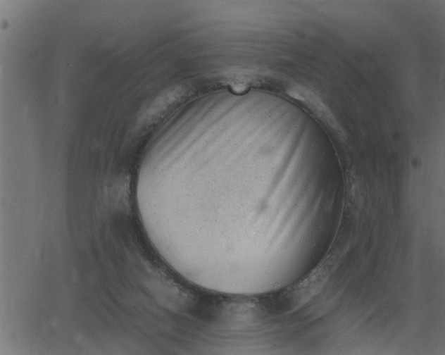 X0000062870066200601171432