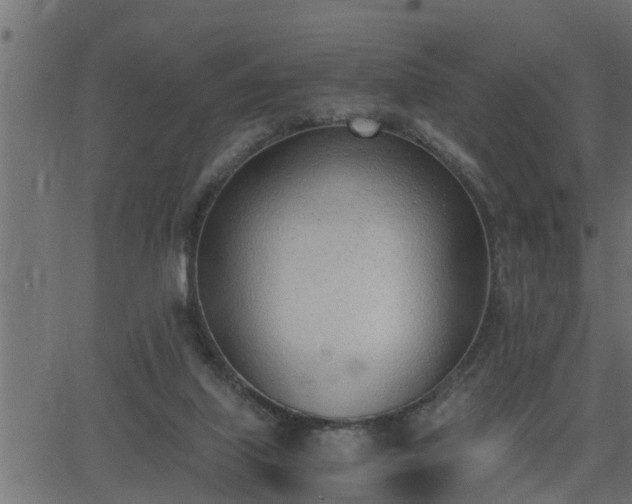 X0000062870067200601171432