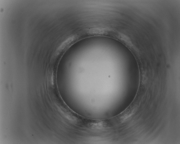 X0000062870068200601171432