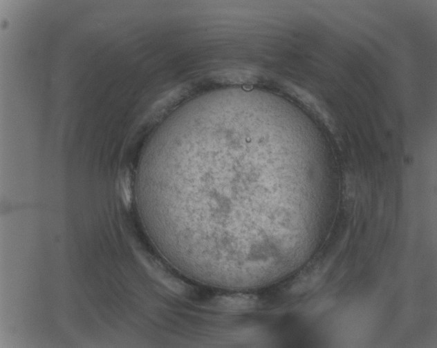 X0000062870069200601171432