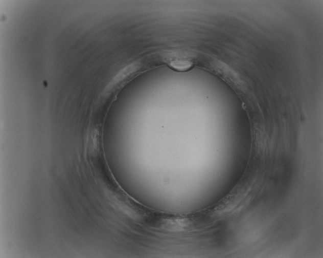 X0000062870071200601171432