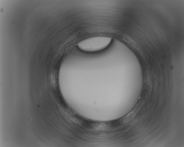 X0000062870074200601171432