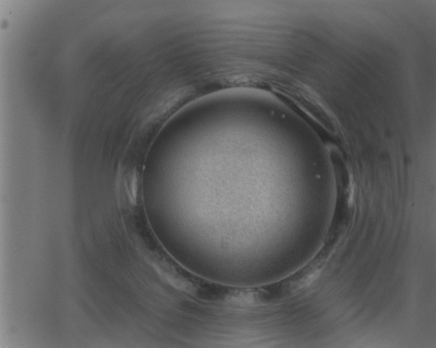 X0000062870076200601171432