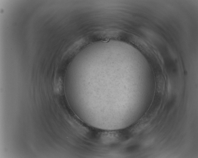 X0000062870077200601171432