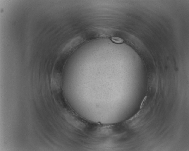 X0000062870078200601171432