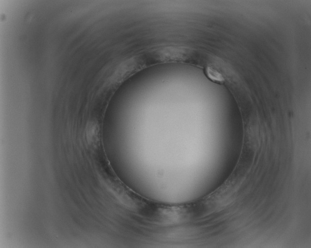 X0000062870079200601171432