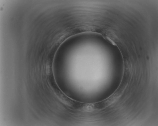 X0000062870080200601171432