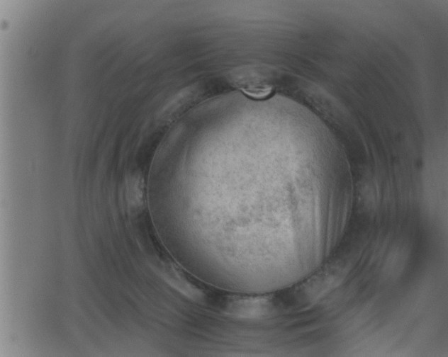 X0000062870081200601171432