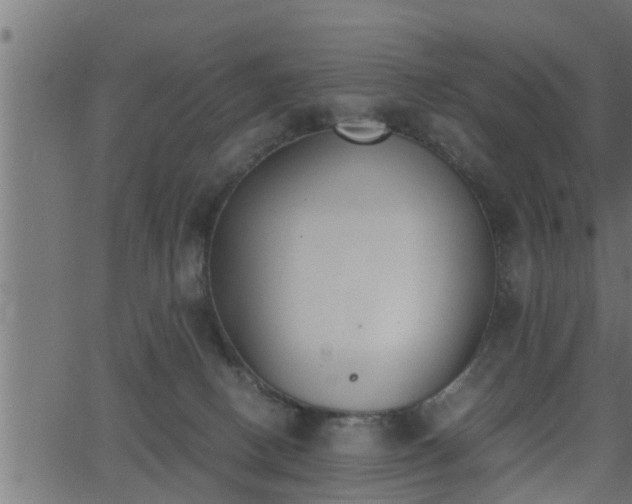 X0000062870082200601171432