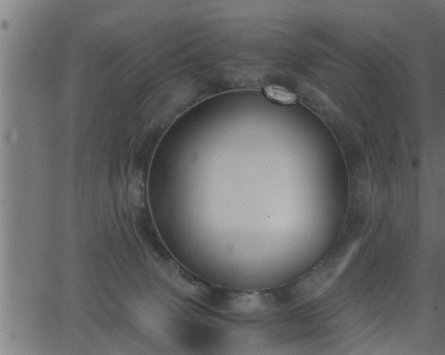 X0000062870083200601171432