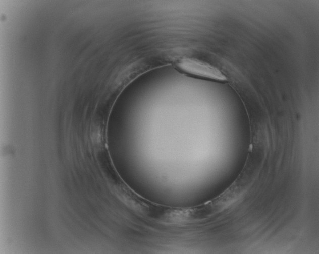 X0000062870084200601171432