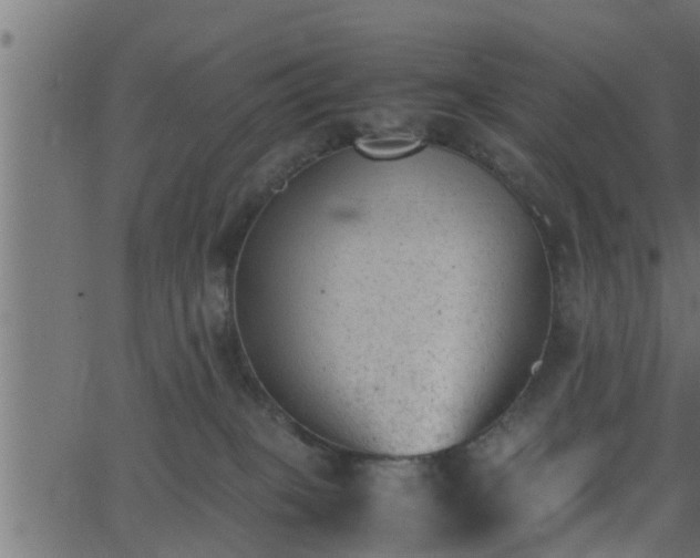 X0000062870085200601171432