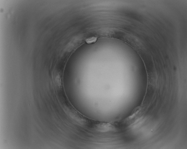 X0000062870086200601171432