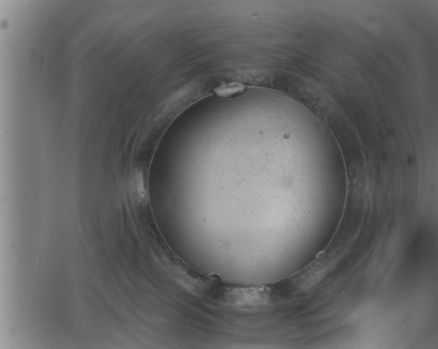 X0000062870089200601171432