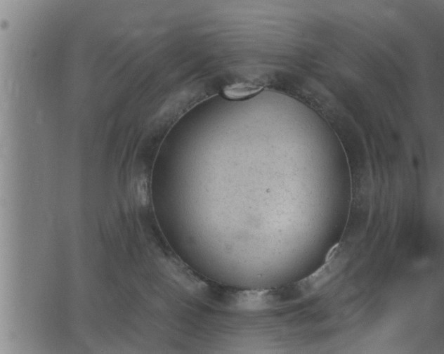 X0000062870090200601171432