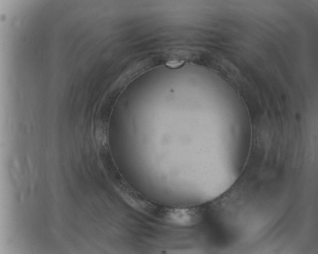 X0000062870091200601171433