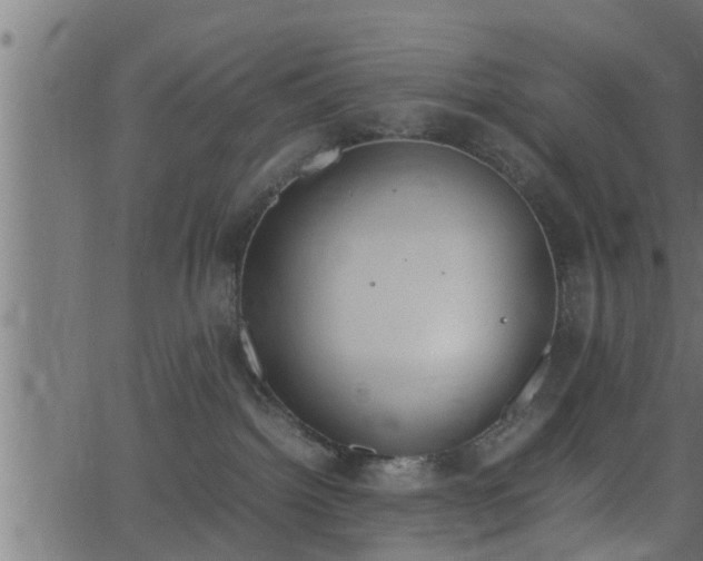 X0000062870092200601171433