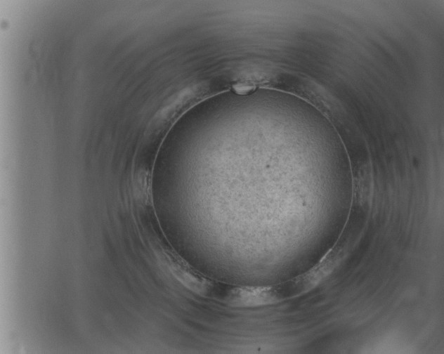 X0000062870093200601171433