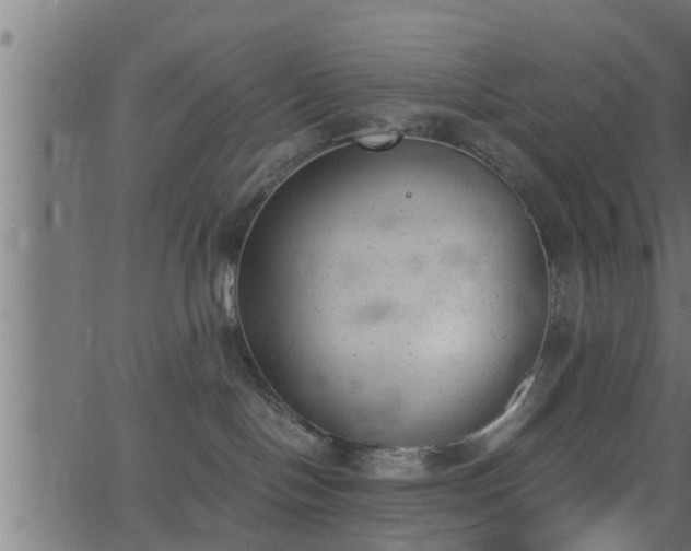 X0000062870094200601171433