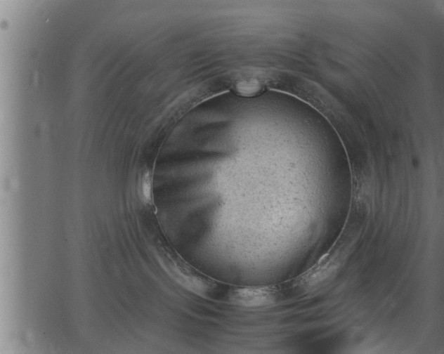 X0000062870095200601171433