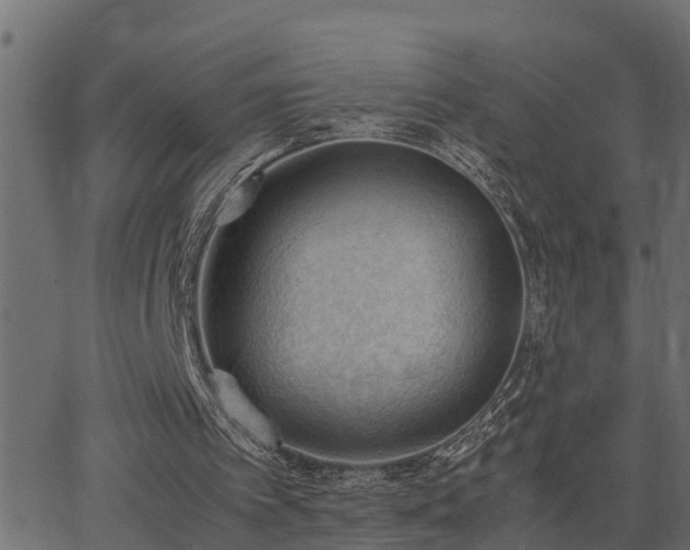 X0000062870097200601171432