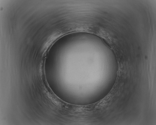 X0000062870098200601171432