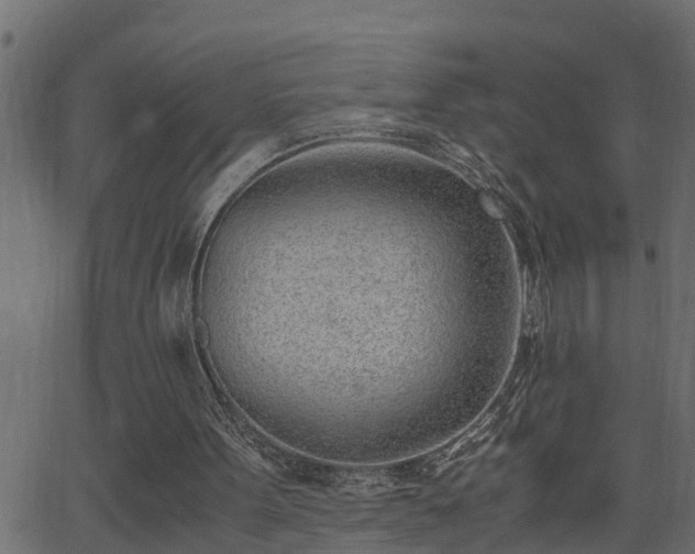 X0000062870099200601171432