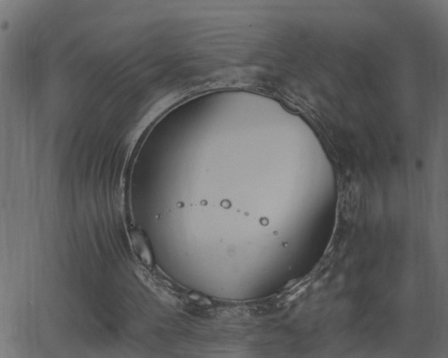 X0000062870100200601171432