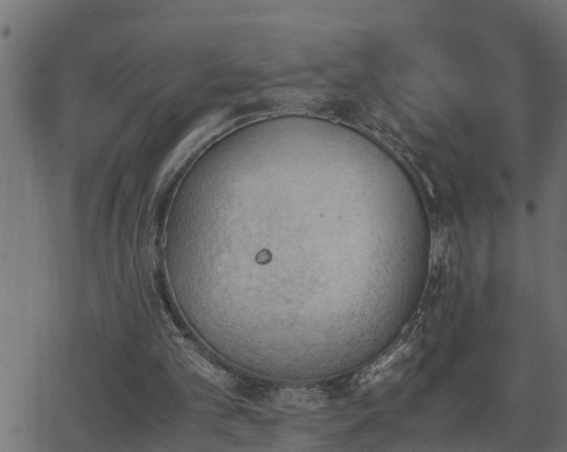 X0000062870101200601171432