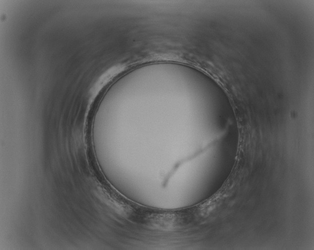 X0000062870104200601171432