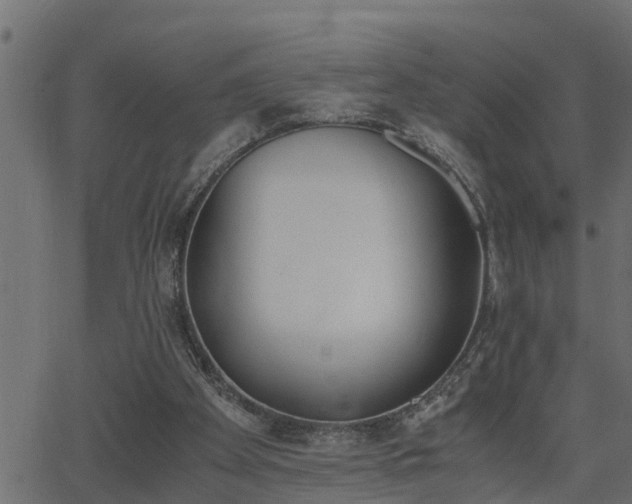 X0000062870105200601171432