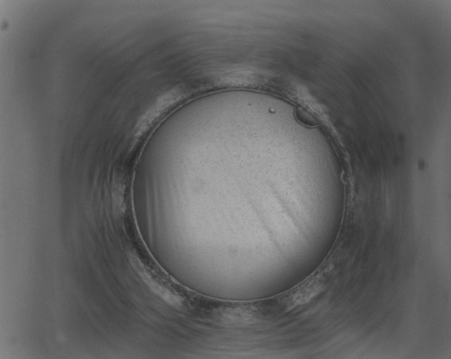 X0000062870106200601171432