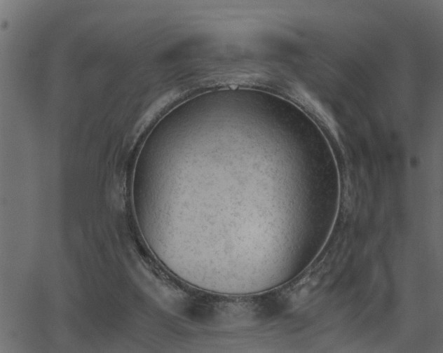 X0000062870107200601171432