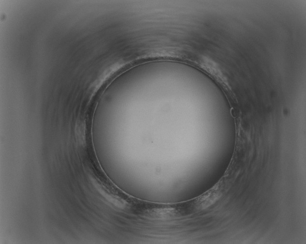 X0000062870108200601171432