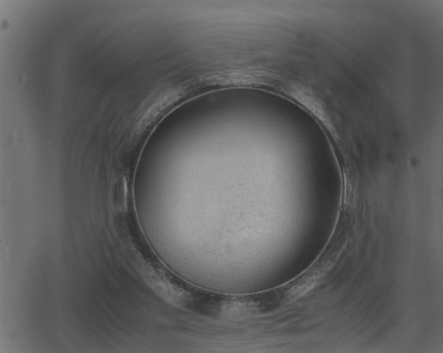 X0000062870109200601171432