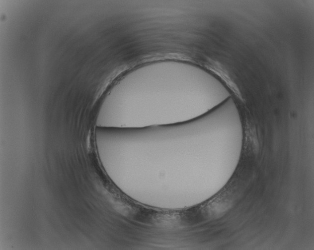 X0000062870110200601171432