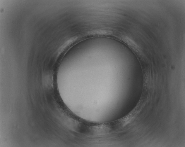 X0000062870112200601171432