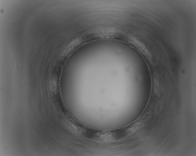 X0000062870113200601171432