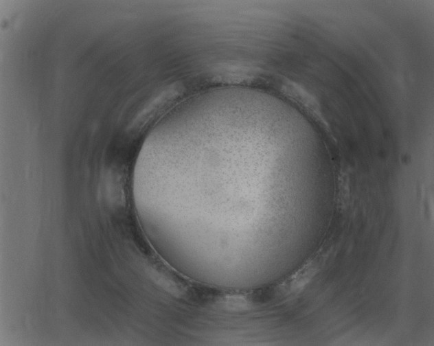 X0000062870114200601171431