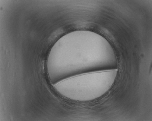 X0000062870115200601171431