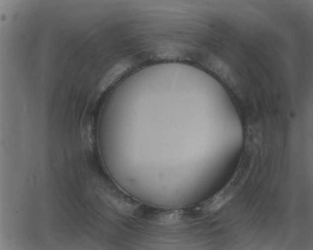 X0000062870116200601171431