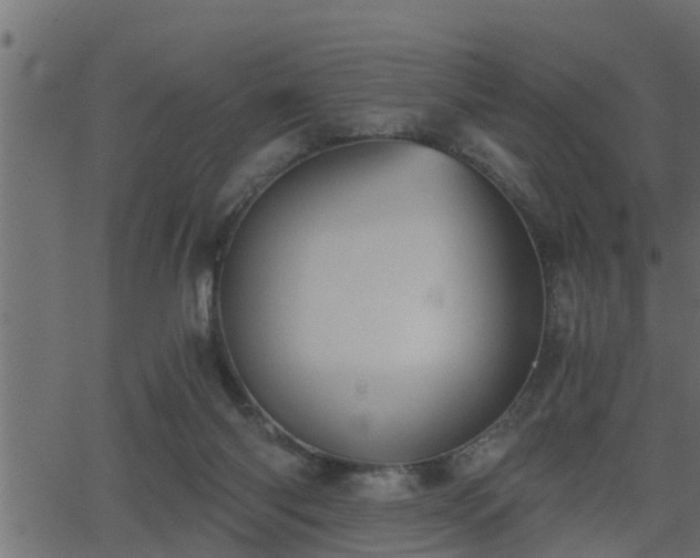 X0000062870118200601171431