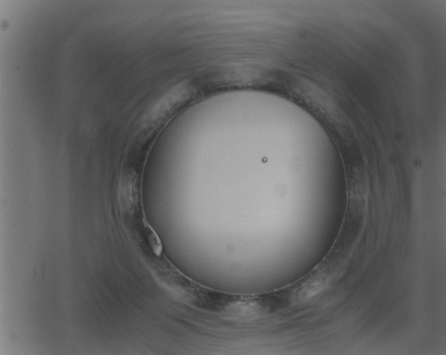 X0000062870119200601171431