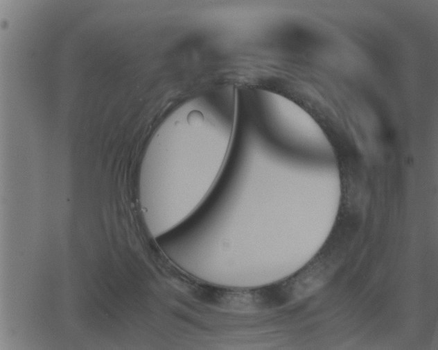 X0000062870123200601171431