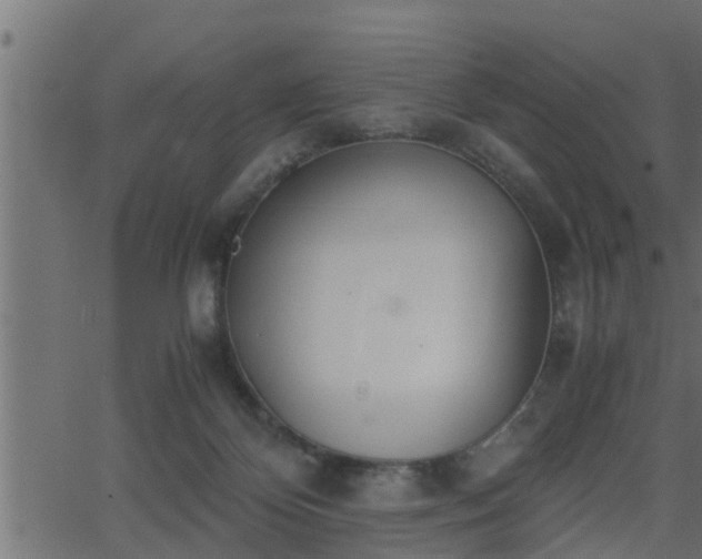 X0000062870124200601171431